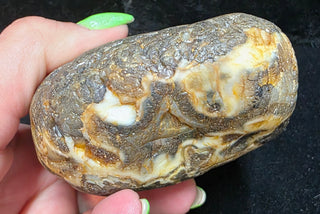 Unique Montana Agate Face Polish Specimen
