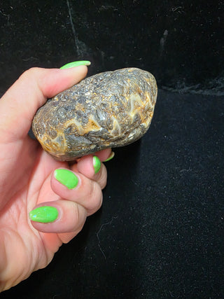 Unique Montana Agate Face Polish Specimen