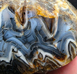 Unique Montana Agate Face Polish Specimen