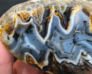 Unique Montana Agate Face Polish Specimen