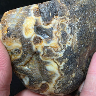 Unique Montana Agate Face Polish Specimen