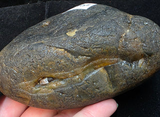 Montana Agate Face Polish Specimen