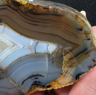 Montana Agate Face Polish Specimen