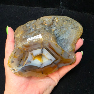 Montana Agate Face Polish Specimen