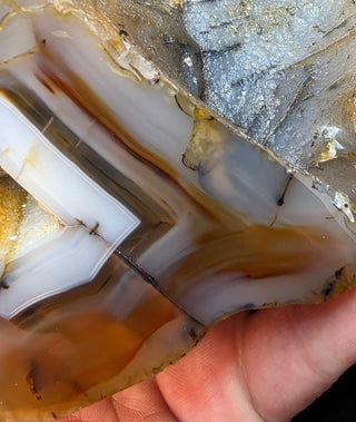 Montana Agate Face Polish Specimen