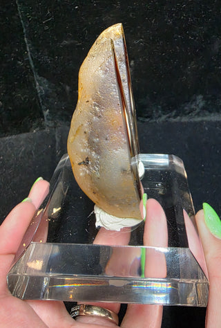 Complete Montana Agate Face Polished Pair