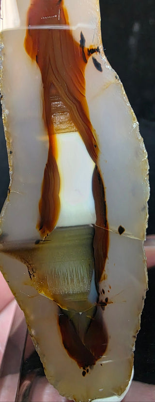 Complete Montana Agate Face Polished Pair