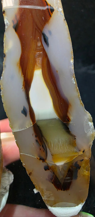 Complete Montana Agate Face Polished Pair