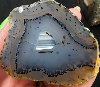 Complete Montana Agate Polished Pair