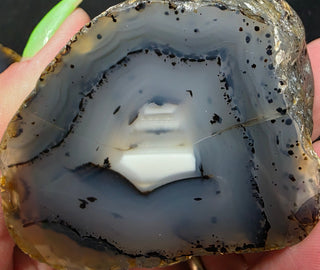 Complete Montana Agate Polished Pair