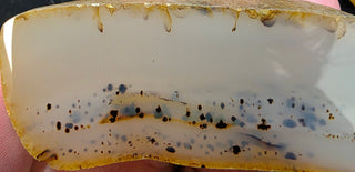 Complete Montana Agate Face Polished Pair