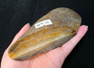 Montana Agate Face Polish Specimen