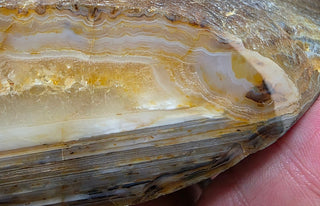 Montana Agate Face Polish Specimen