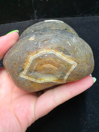 Montana Agate Face Polished Specimen