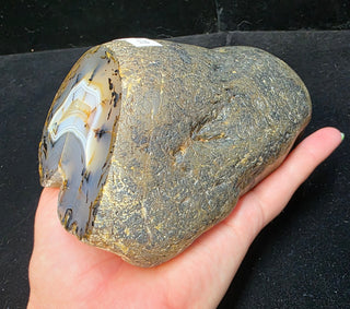Montana Agate Face Polished Specimen