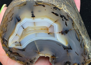 Montana Agate Face Polished Specimen