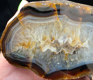Dark Montana Agate Face Polish Specimen