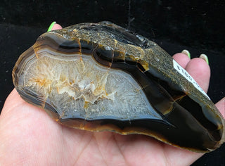 Dark Montana Agate Face Polish Specimen