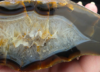 Dark Montana Agate Face Polish Specimen