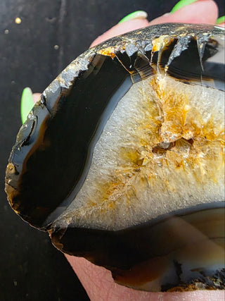 Dark Montana Agate Face Polish Specimen