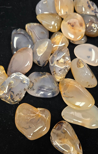 Medium Montana Agate Tumbles